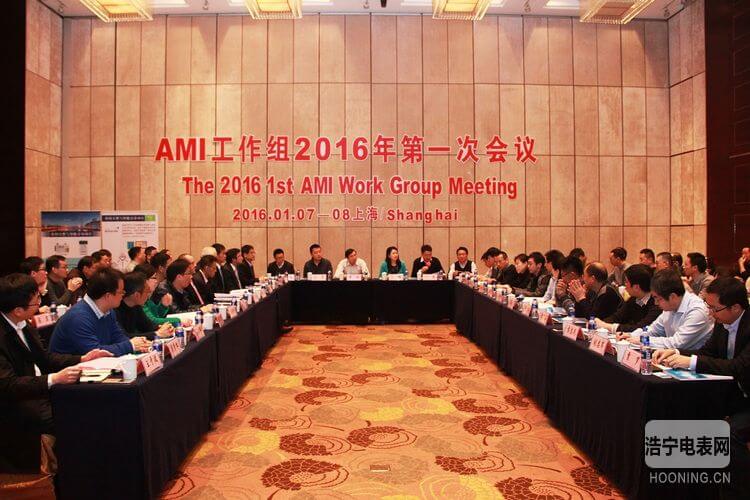 林洋能源承辦的AMI工作組2016年第一次會(huì)議順利召開(kāi)