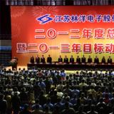 奮斗2013年，為開啟林洋事業(yè)新的征程而努力奮斗