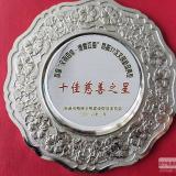林洋集團總裁、林洋能源董事長陸永華 被評為南通市“慈善之星”