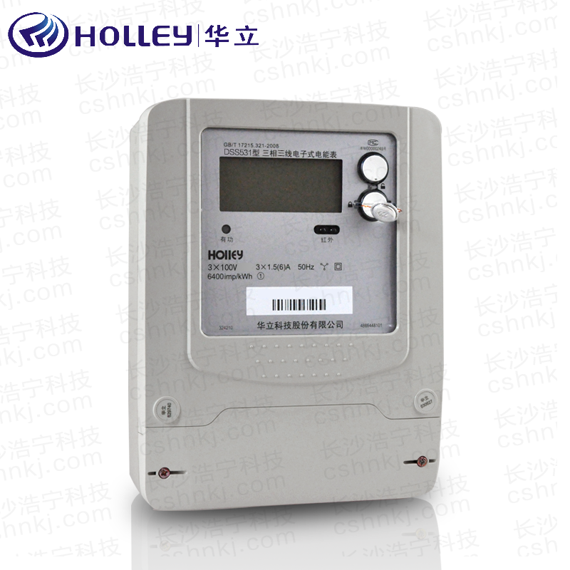 杭州華立DSS531三相三線電子式電能表 AII(VG)